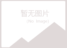 大新县如松设计有限公司